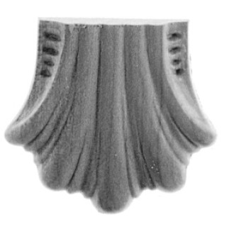 Muschel Typ 10 buche