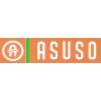 Asuso NL Verdünner 2,5L